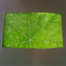 Literacy Leaf thumb