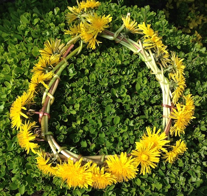Dandelion wreath