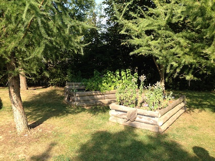 SG Raised Beds
